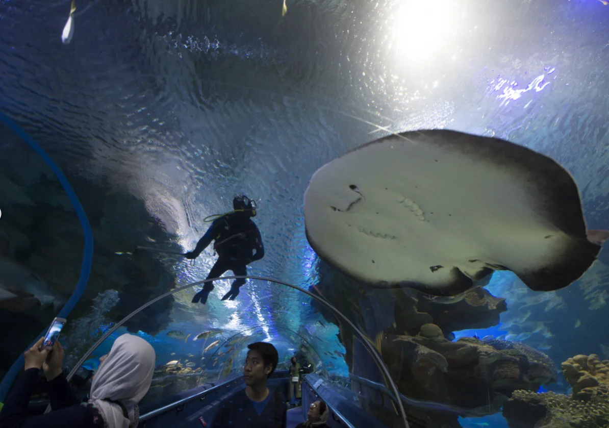 Aquaria KLCC underwater tunnel